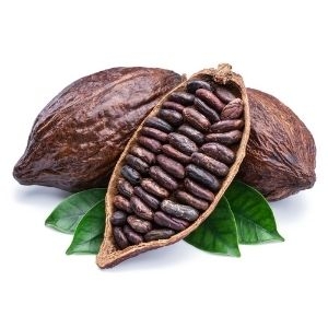 Más Cacao Artesanal