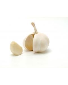 DAC Normal Garlic