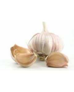 DAC Italian Garlic