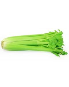 DAC Celery Bunch