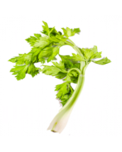 DAC Celery Stalk