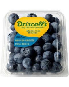 Driscoll´s Blueberry