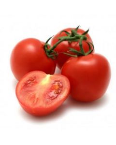 DAC Guaje Tomato