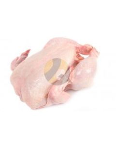 Cloyd Whole Chicken 1.75kg 15% SURCHARGE Incl.